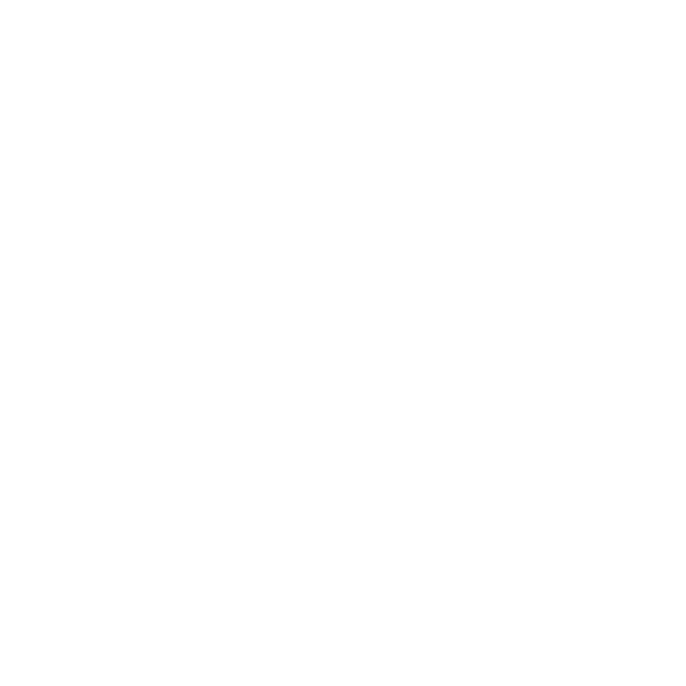 logo-seul